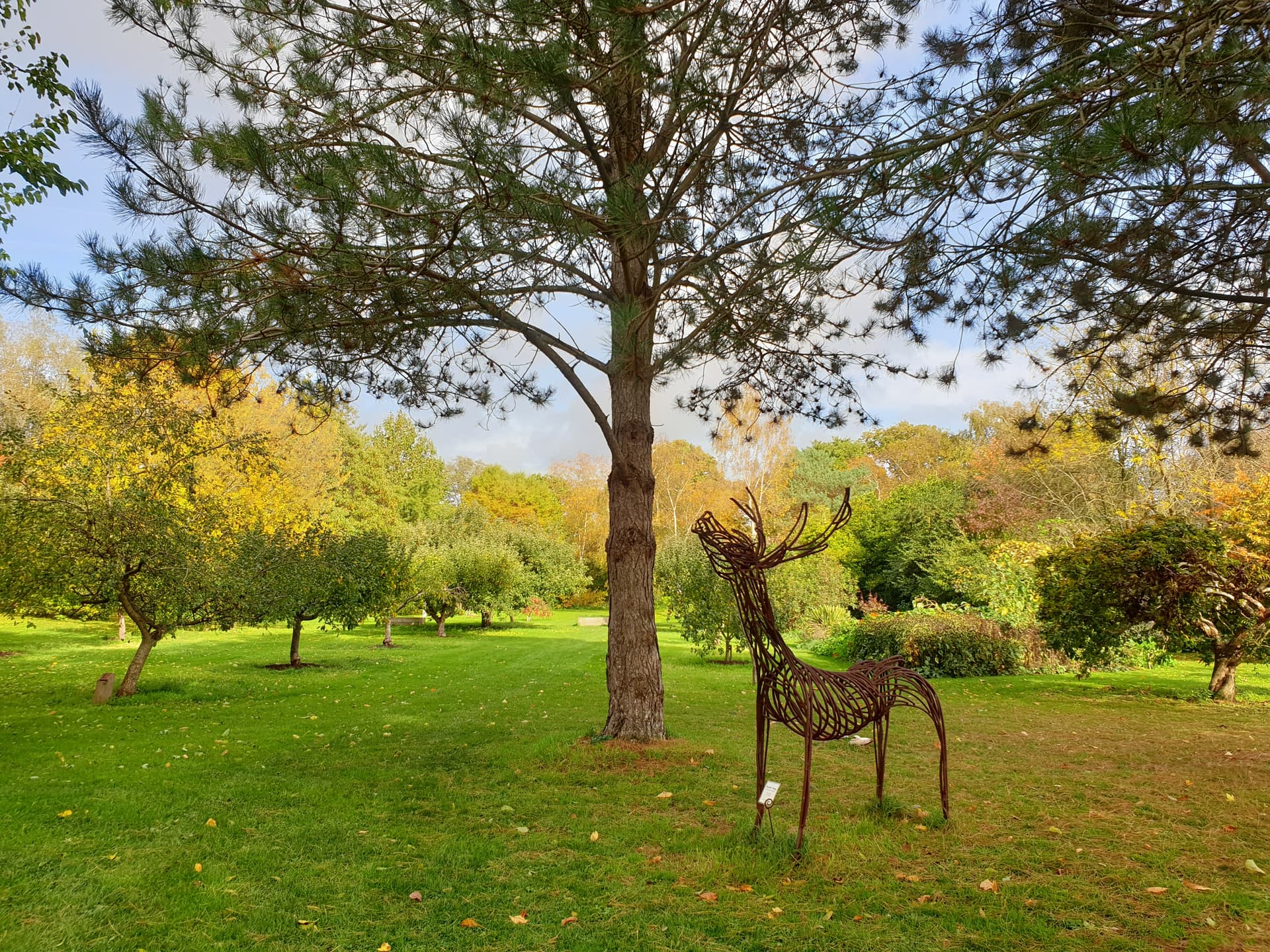 Photo of nature